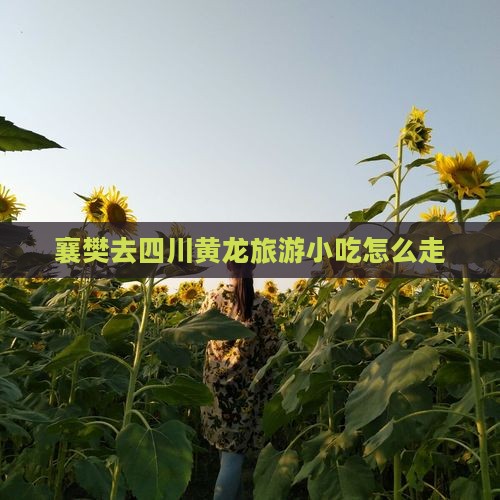 襄樊去四川黄龙旅游小吃