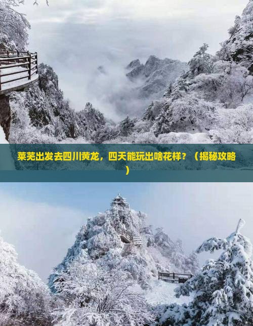 莱芜去四川黄龙四日游