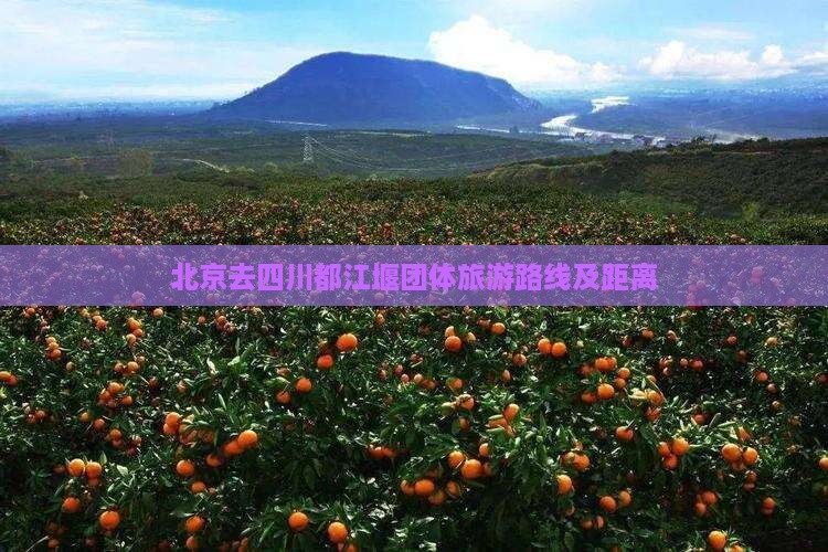 北京去四川都江堰团体旅游