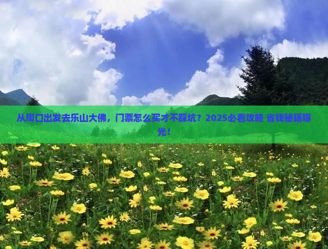 周口到四川乐山大佛门票