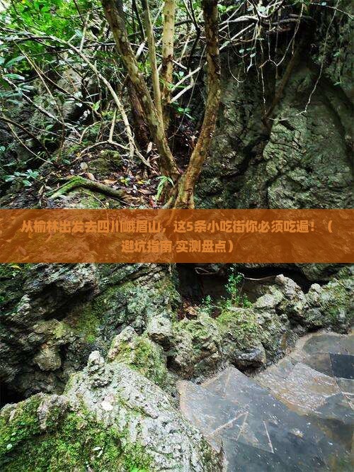 榆林去四川峨眉山旅游小吃