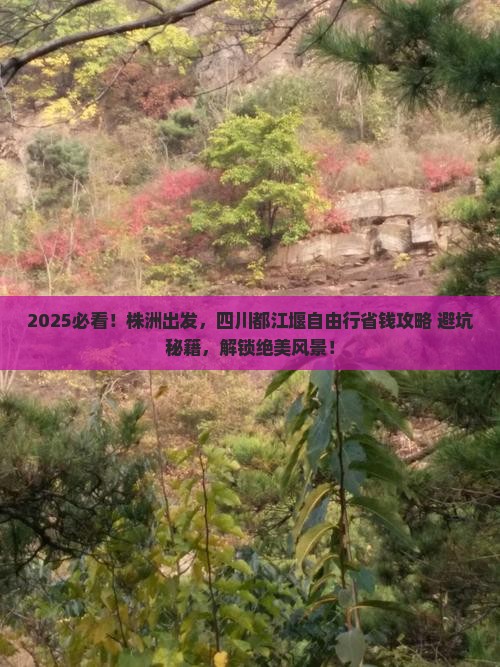 株洲到四川都江堰自由行
