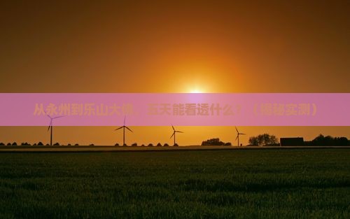 永州去四川乐山大佛五日游