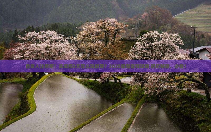 自贡去四川成都三日游