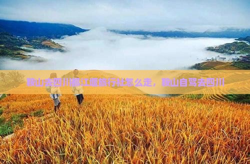 鞍山去四川都江堰旅行社 鞍山去四川都江堰旅行社