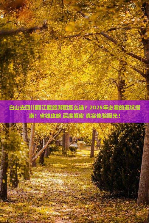 白山去四川都江堰大型旅游团