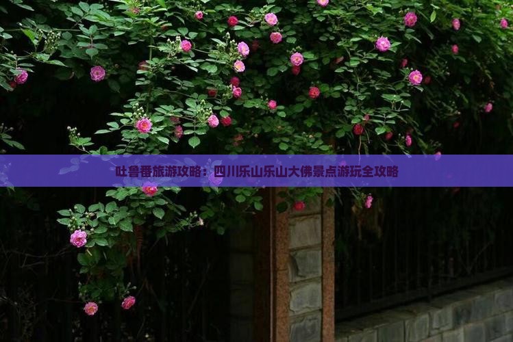 吐鲁番去四川乐山大佛景点