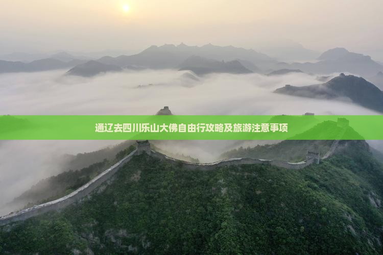 通辽去四川乐山大佛自由行