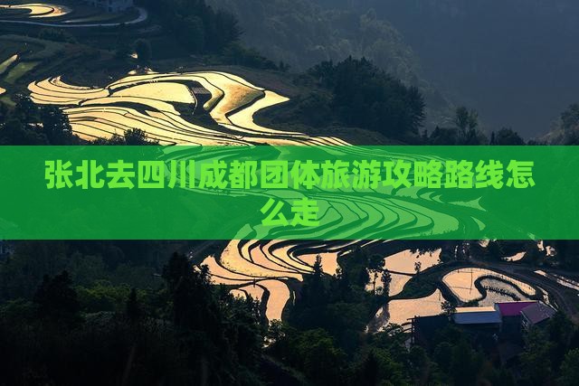 张北去四川成都团体旅游