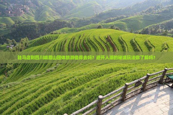 驻马店到四川峨眉山团体旅游 驻马店到四川峨眉山团体旅游