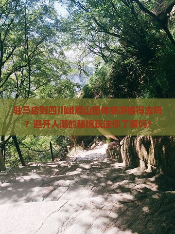 驻马店到四川峨眉山团体旅游 驻马店到四川峨眉山团体旅游