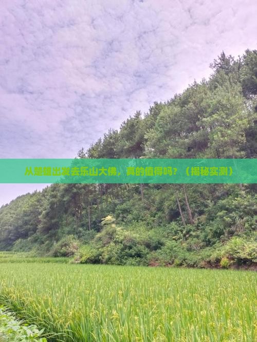 楚雄去四川乐山大佛个人游