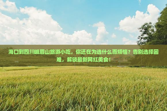 海口到四川峨眉山旅游小吃