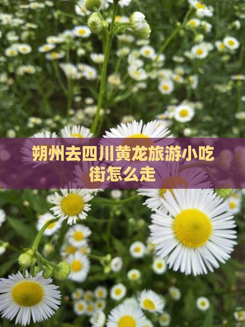 朔州去四川黄龙旅游小吃