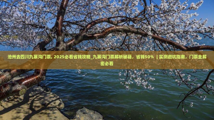 沧州去四川九寨沟门票