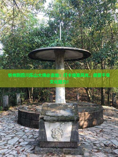 忻州到四川乐山大佛必去地