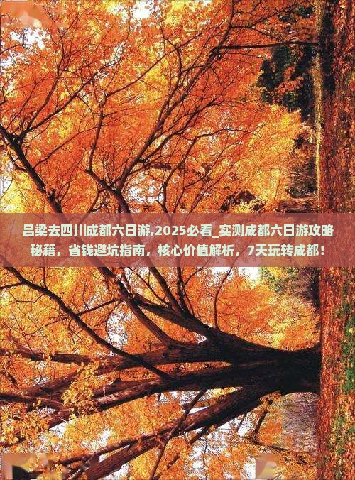 吕梁去四川成都六日游