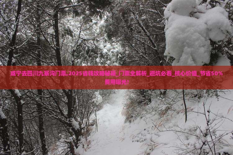 咸宁去四川九寨沟门票