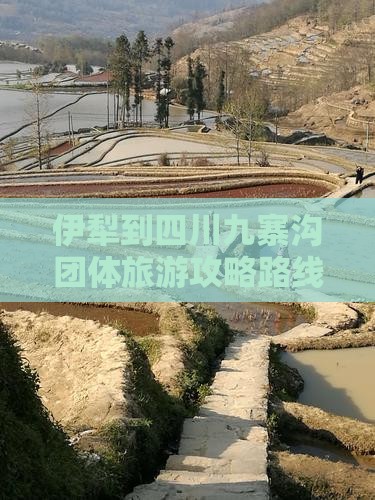 伊犁到四川九寨沟团体旅游