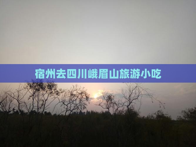 宿州去四川峨眉山旅游小吃