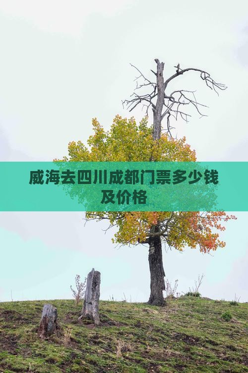 威海去四川成都门票