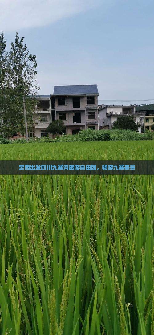 定西去四川九寨沟自由团