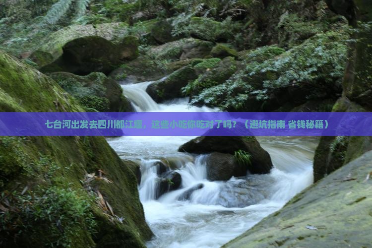 七台河去四川都江堰旅游小吃
