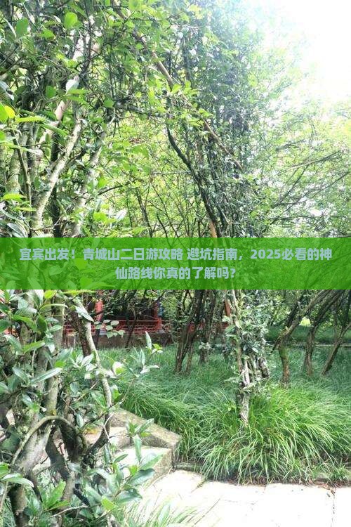 宜宾到四川青城山二日游