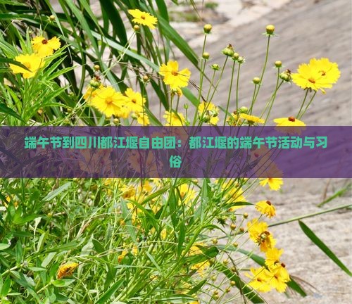 端午节到四川都江堰自由团