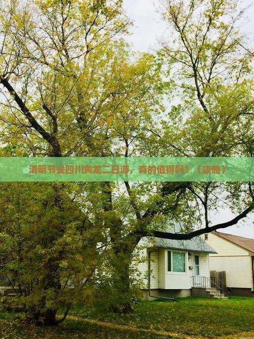 清明节去四川黄龙二日游