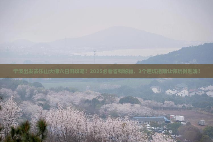 宁波去四川乐山大佛六日游