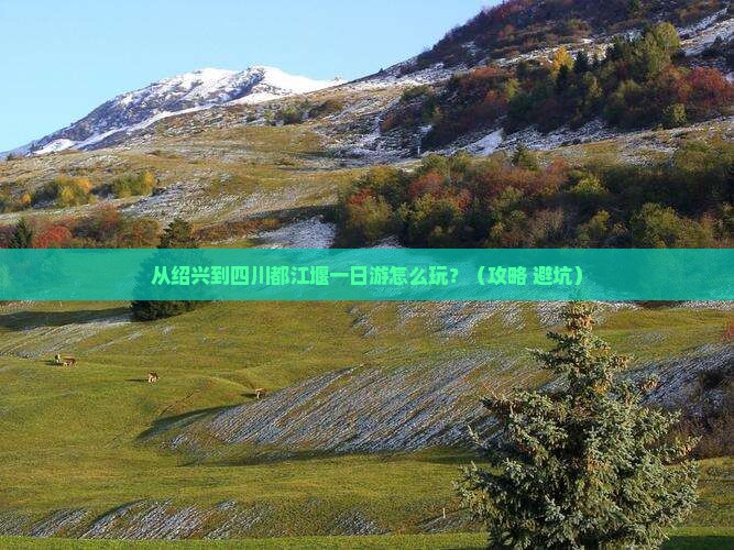 绍兴到四川都江堰一日