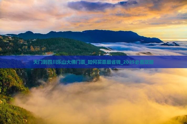天门到四川乐山大佛门票