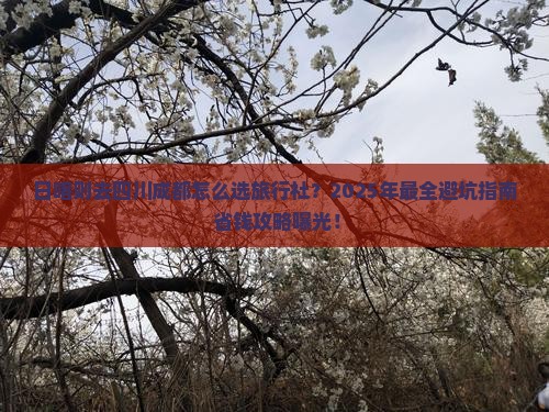 日喀则去四川成都旅行社