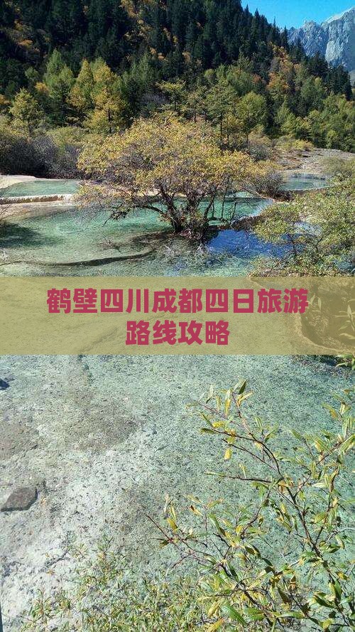 鹤壁去四川成都四日游