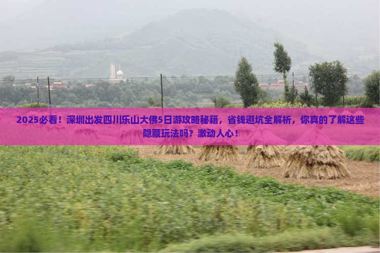 深圳到四川乐山大佛大型旅游团 深圳到四川乐山大佛大型旅游团