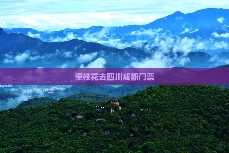 攀枝花去四川成都门票