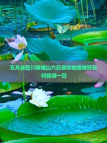 五月去四川青城山六日游