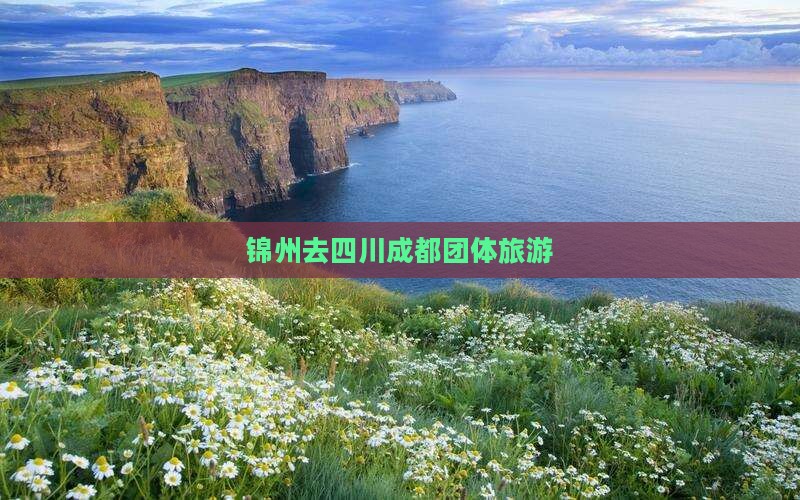 锦州去四川成都团体旅游