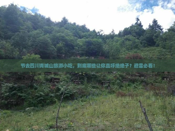 国庆节去四川青城山旅游小吃