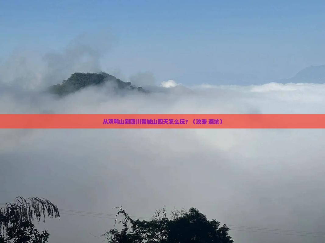 双鸭山到四川青城山四日游