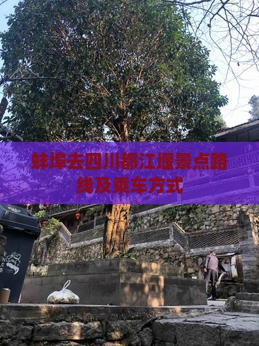蚌埠去四川都江堰景点