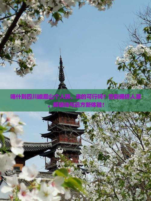 喀什到四川峨眉山个人游