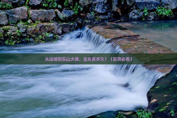 运城去四川乐山大佛个人游