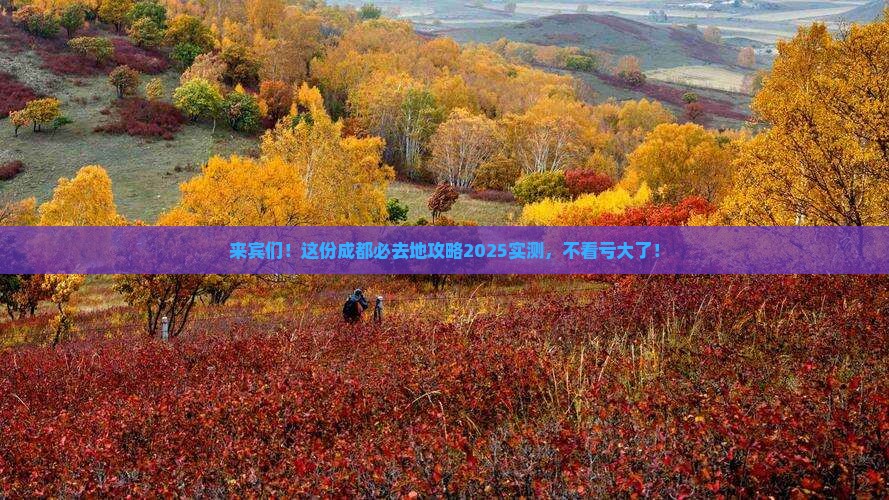 来宾到四川成都必去地
