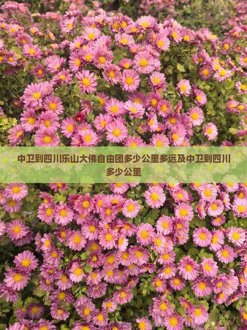 中卫到四川乐山大佛自由团