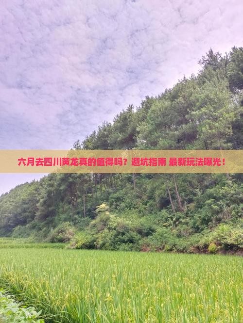 六月到四川黄龙攻略