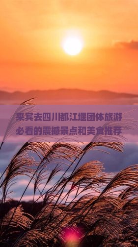来宾去四川都江堰团体旅游