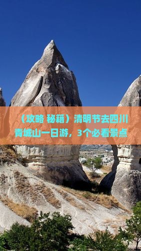清明节到四川青城山一日