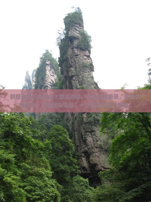 鹤壁去四川青城山大型旅游团